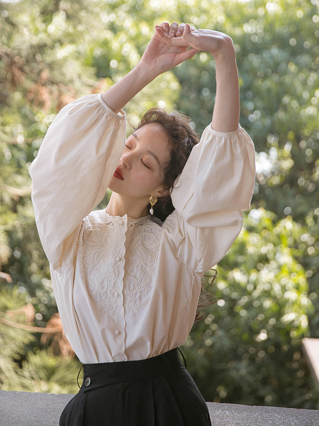 Ally Retro Embroidered Lantern Sleeve Blouse