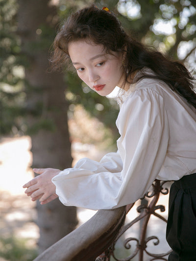 Ally Retro Embroidered Lantern Sleeve Blouse